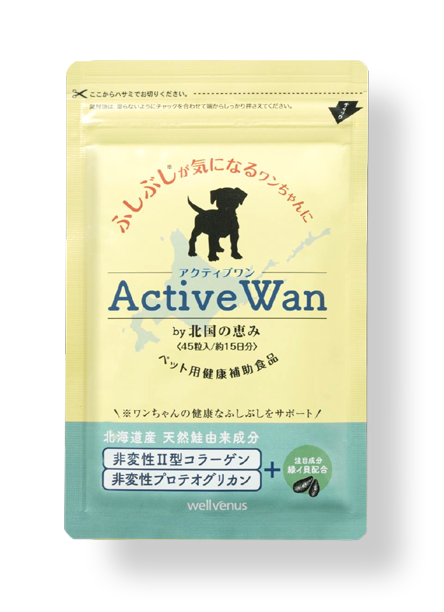 アクティブワン