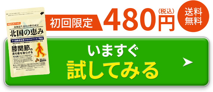 初回限定480円＋送料無料 いますぐ試してみる