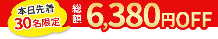 今なら！オトクに 2,160円＋送料660円→480円＋送料無料