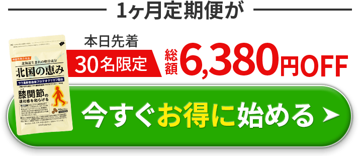 1ヶ月定期便が本日先着30名限定総額6,380円OFF 今すぐお得に始める