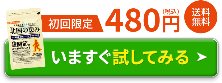 初回限定480円＋送料無料 いますぐ試してみる