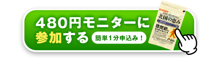 今すぐモニターに参加する