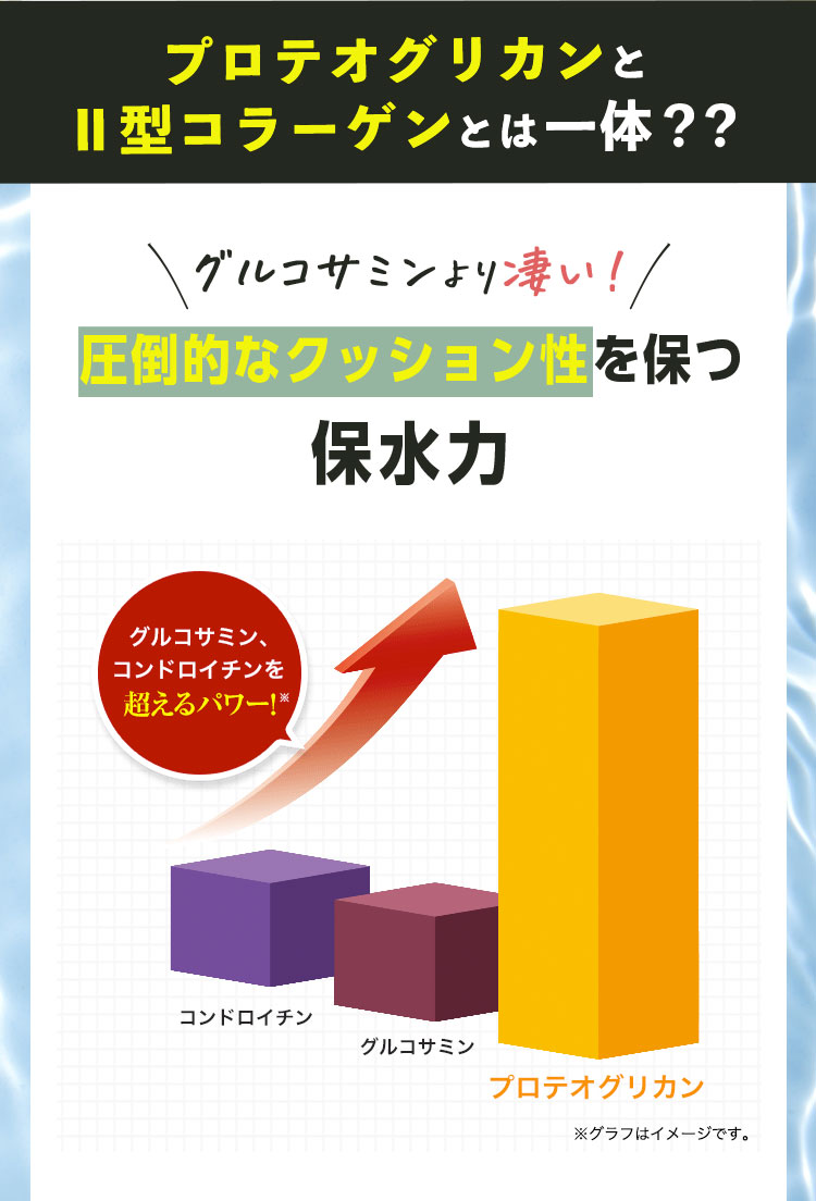 プロテオグリカンとⅡ型コラーゲンとは一体？？ グルコサミンより凄い！ 圧倒的なクッション性を保つ保水力