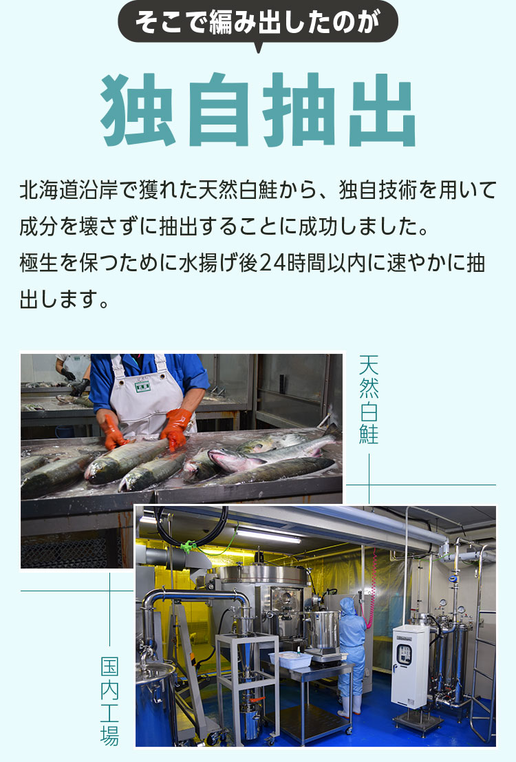 そこで編み出したのが独自抽出 北海道沿岸で獲れた天然白鮭から、独自技術を用いて成分を壊さずに抽出することに成功しました。極生を保つため水揚げ後24時間以内に速やかに抽出します。