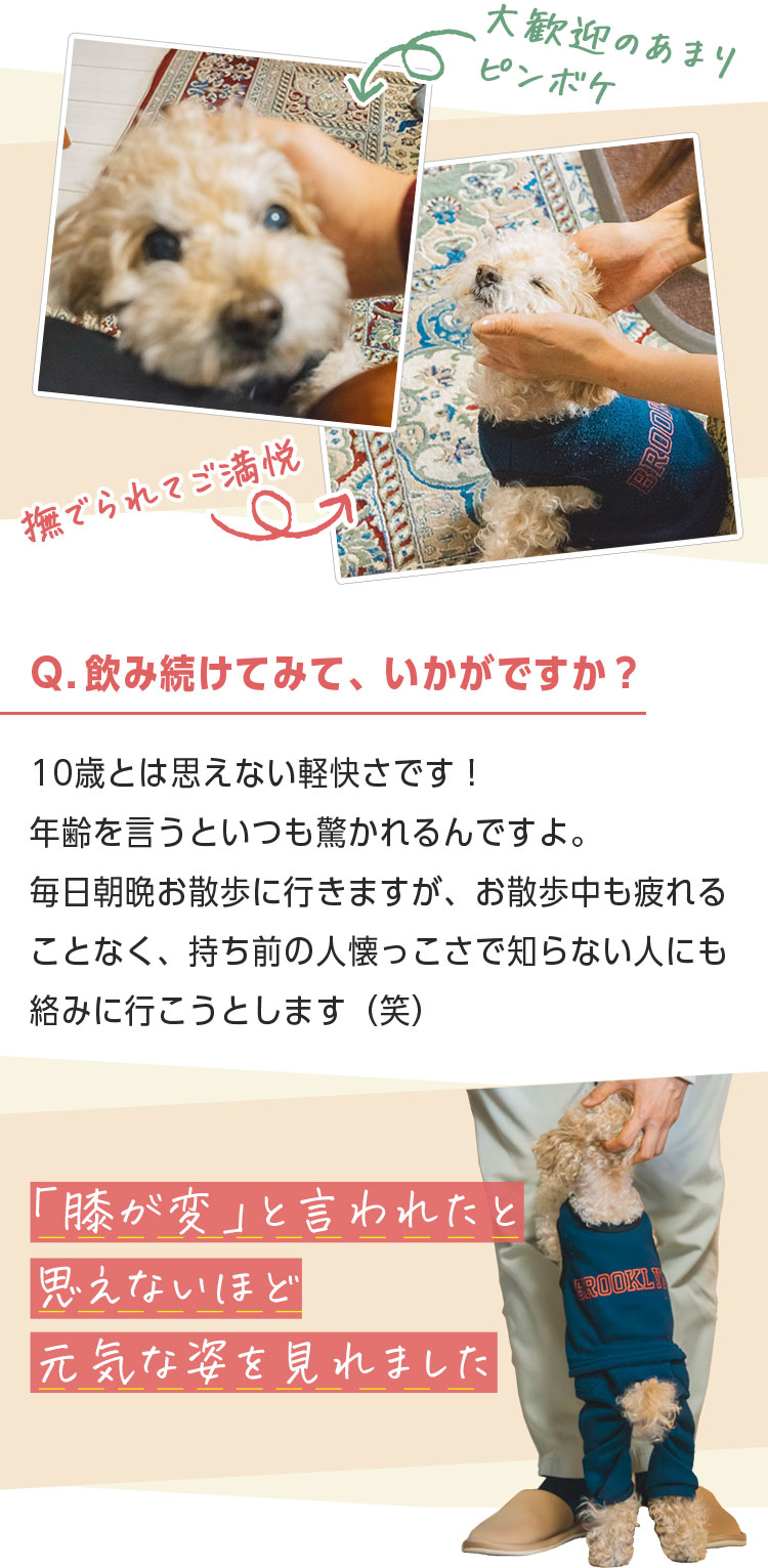 大歓迎のあまりピンボケ 撫でられてご満悦