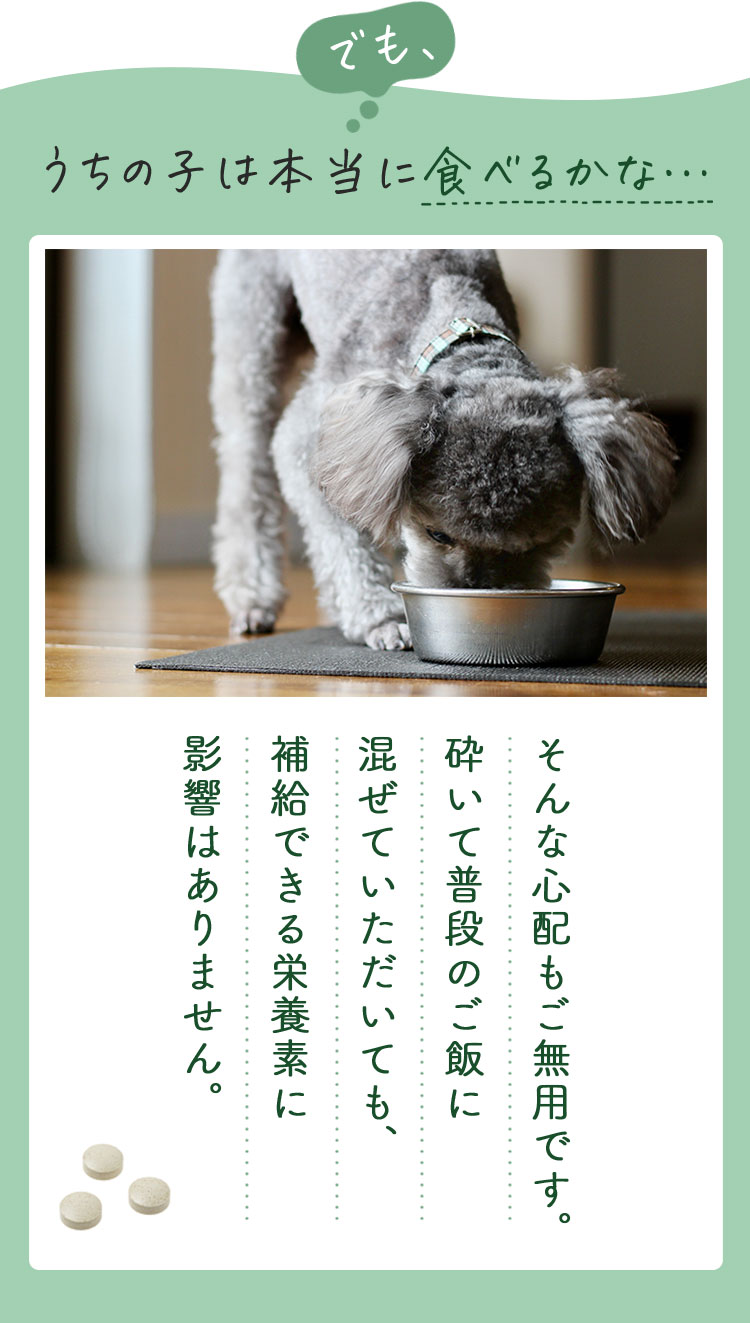 でも、うちの子は本当に食べてくれるかな・・・