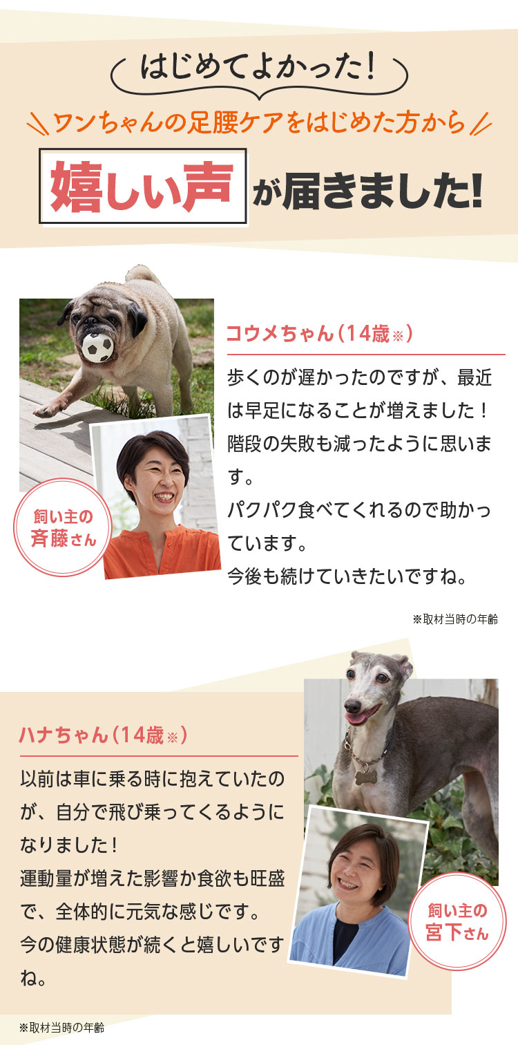 はじめてよかった！嬉しい声が届きました！