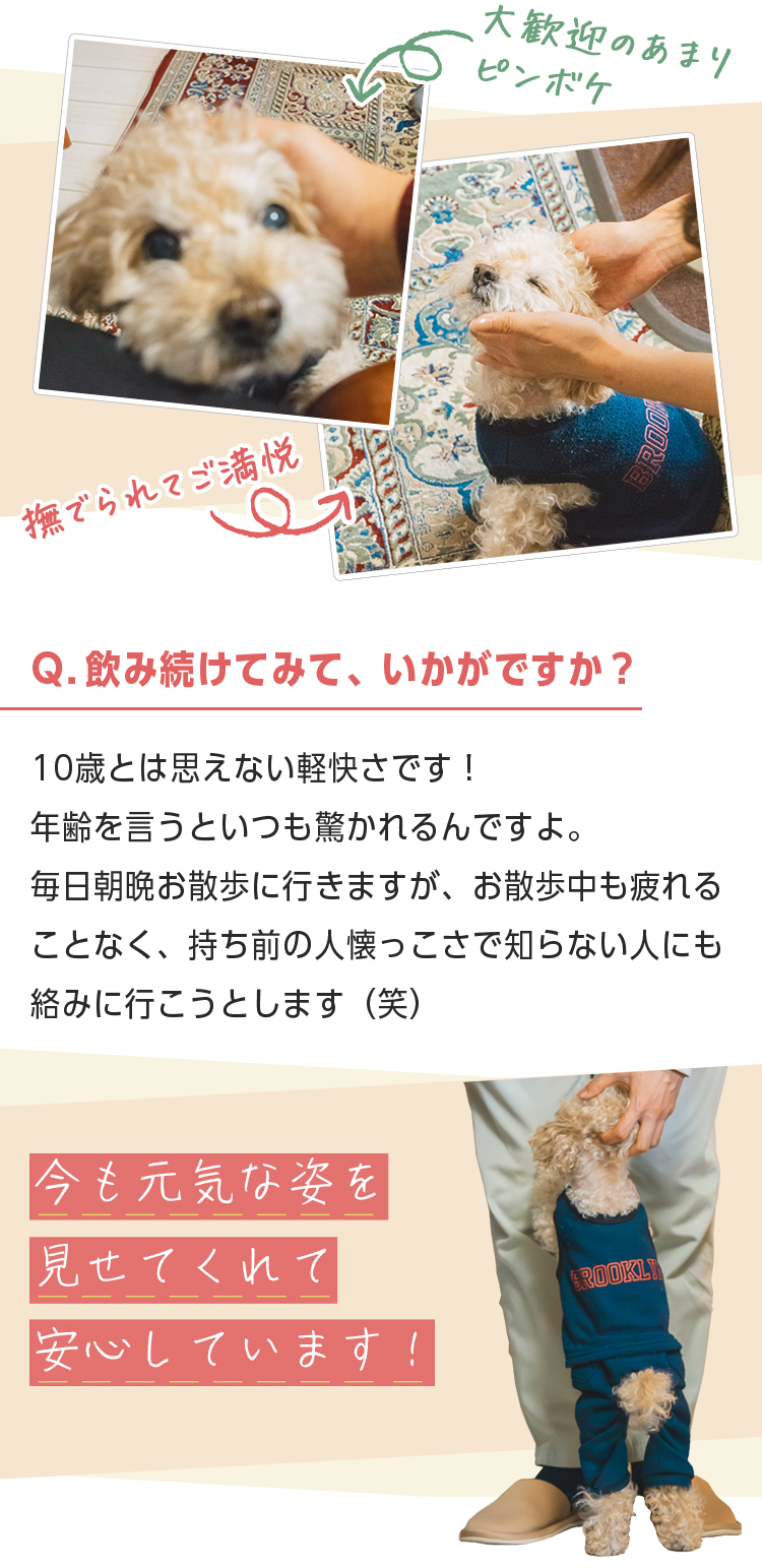 大歓迎のあまりピンボケ 撫でられてご満悦