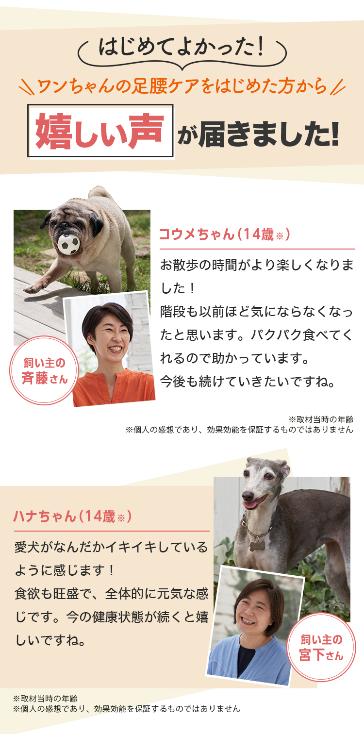 はじめてよかった！嬉しい声が届きました！