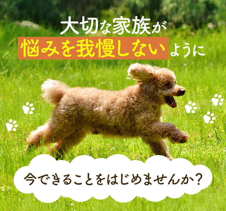 大切な家族が痛みを我慢しないように