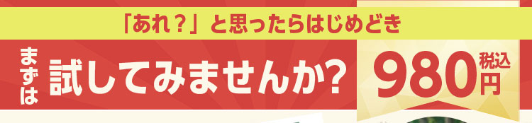 「あれ？」と思ったらはじめどき まずは試してみませんか？ 980円（税込）
