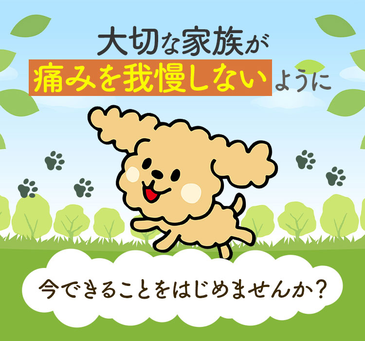 大切な家族が痛みを我慢しないように