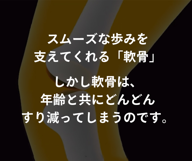 スムーズな歩みを支えてくれる「軟骨」しかし軟骨は年齢とともにどんどんすり減ってしまうのです。