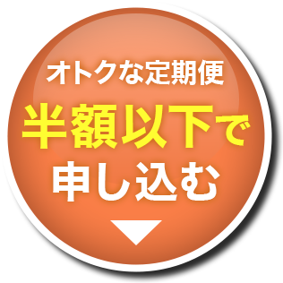 初回お得な約78％OFF 注文殺到！今すぐ申し込む！