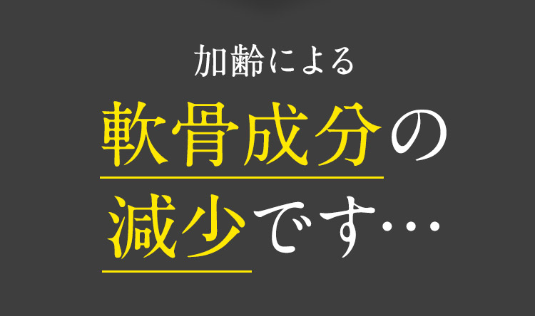 加齢による 軟骨成分の減少です…