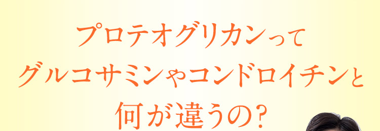 プロテオグリカンってグルコサミンやコンドロイチンと何が違うの？