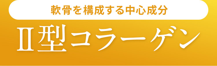 軟骨を構成する中心成分 2型コラーゲン