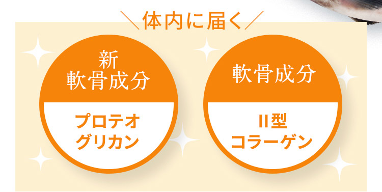 体内に届く 新軟骨成分 プロテオグリカン 軟骨成分 2型コラーゲン