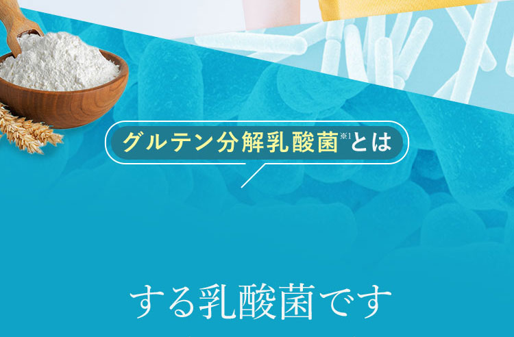 グルテン分解乳酸菌※1とは する乳酸菌です