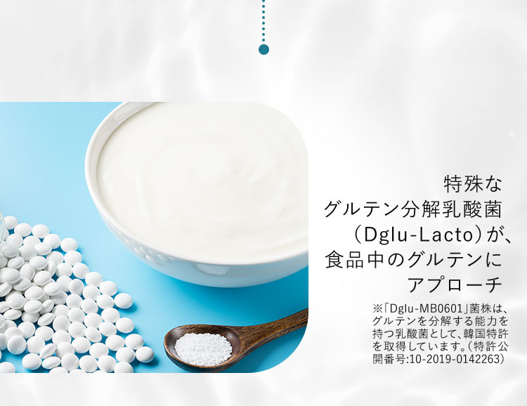 特殊なグルテン分解乳酸菌(Dglu－Lacto)が、食品中のグルテンにアプローチ ※「Dglu－MB0601」菌株は、グルテンを分解する能力を持つ乳酸菌として、韓国特許を取得しています。(特許公開番号：10－2019－0142263) 