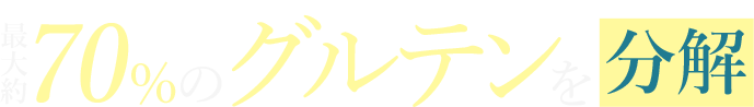 最大約70％のグルテンを分解※2