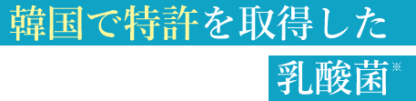 韓国で特許を取得した乳酸菌※