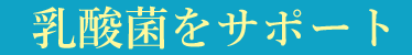 乳酸菌をサポート