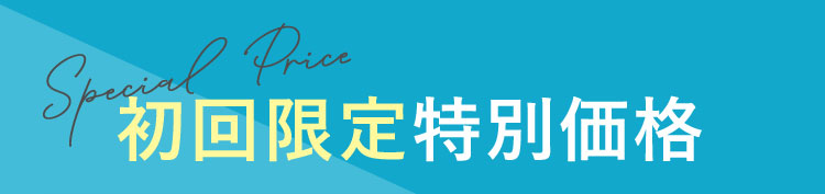 初回限定特別価格