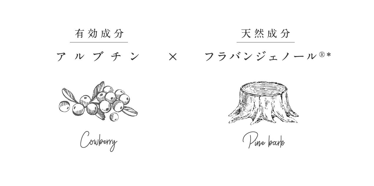 ホワイトワン成分イメージ